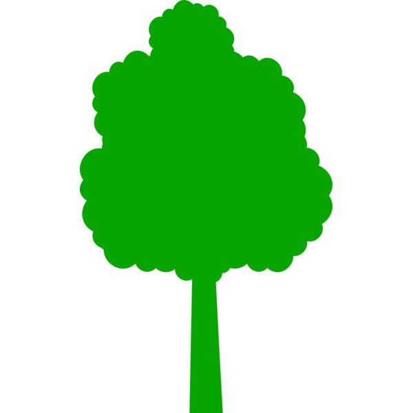 41 Tree Thumbnail