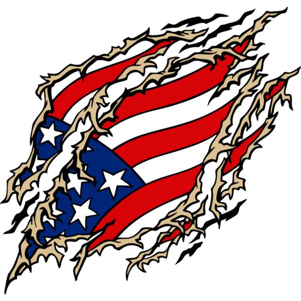 ripped flag Thumbnail