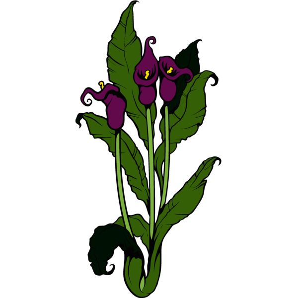 es3flower07clr Thumbnail