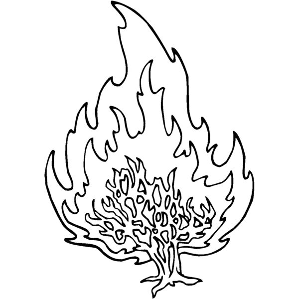 burningbush02 Thumbnail