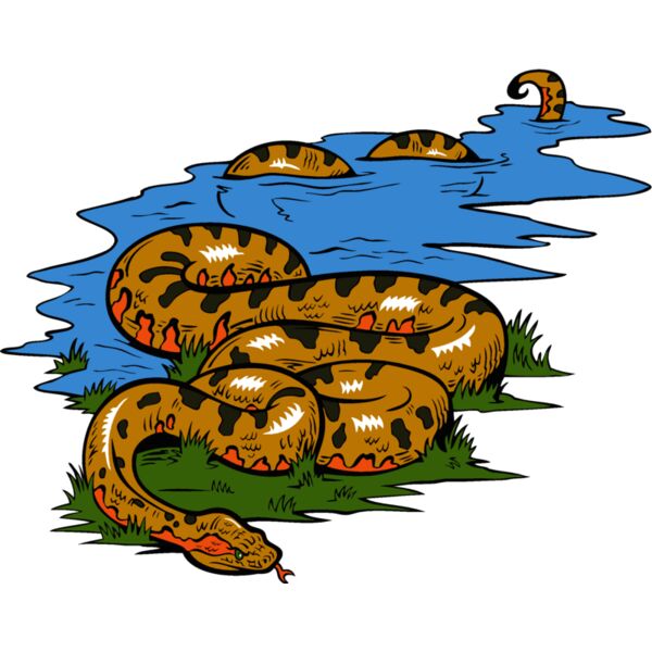 snake13v4clr Thumbnail