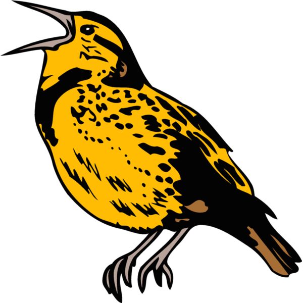 kansasmeadowlark1 Thumbnail