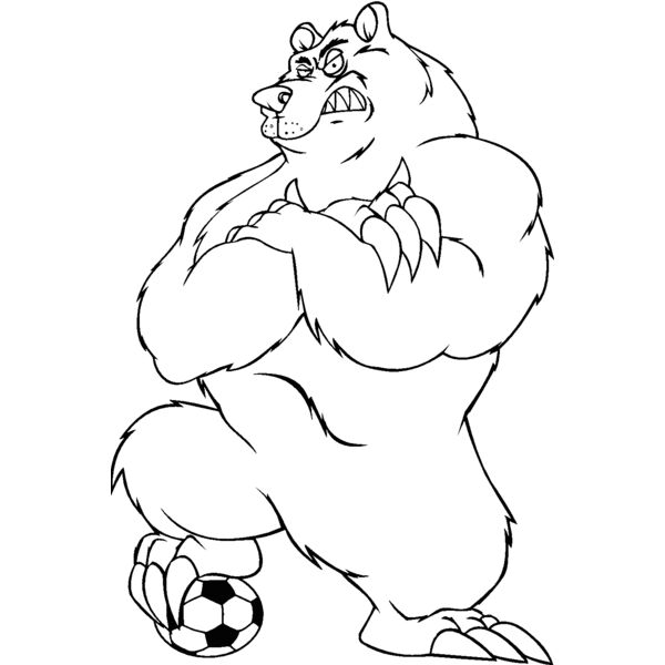 soccerbear Thumbnail