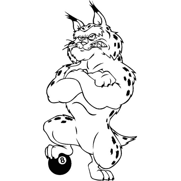 bobcatpoolbns Thumbnail