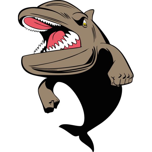 dolphinmsct2 Thumbnail