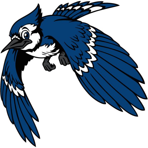 bluejay13 Thumbnail