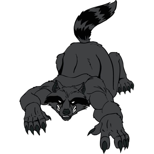 raccoon4 Thumbnail